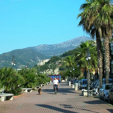 Διαμέρισμα Araucaria